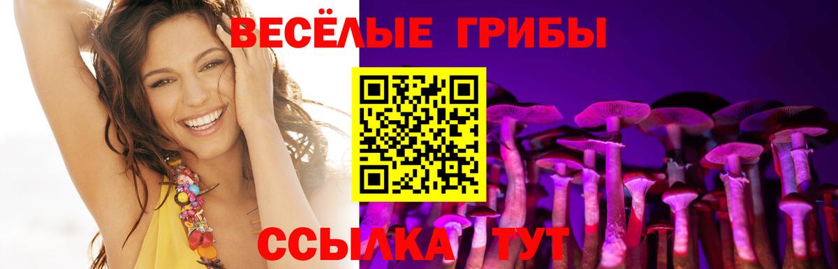 Галлюциногенные грибы Psilocybe Сарапул